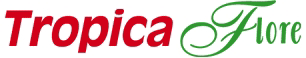 Logo de Tropicaflore