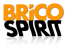 Logo de Bricospirit