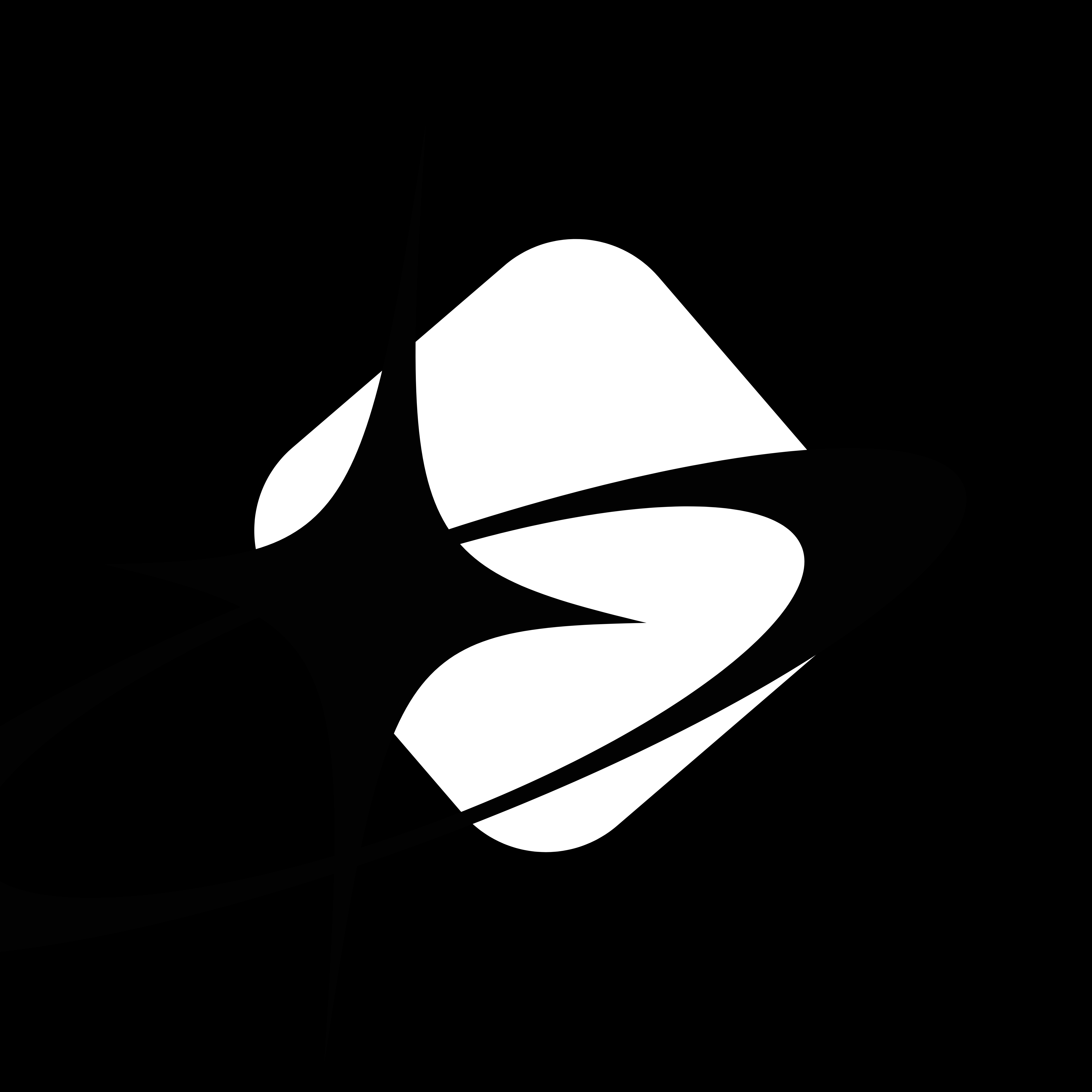 Logo de SHINEANDGLORY